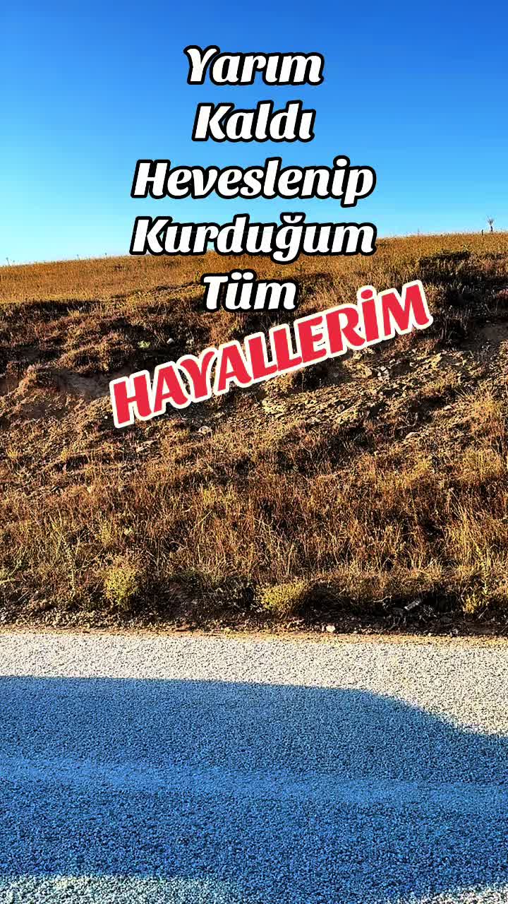 @@bursaliahmet
