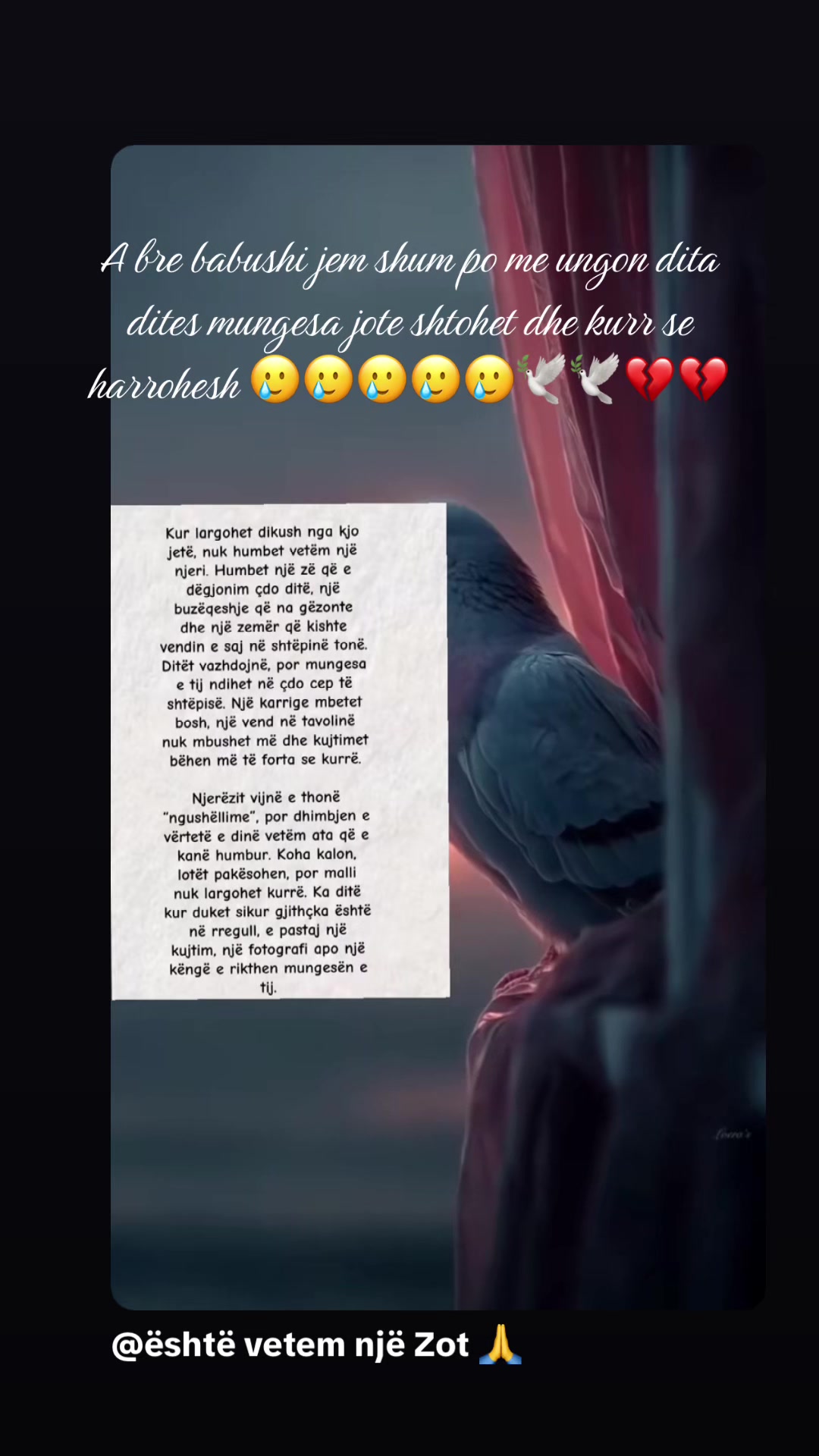 @anakastrati03