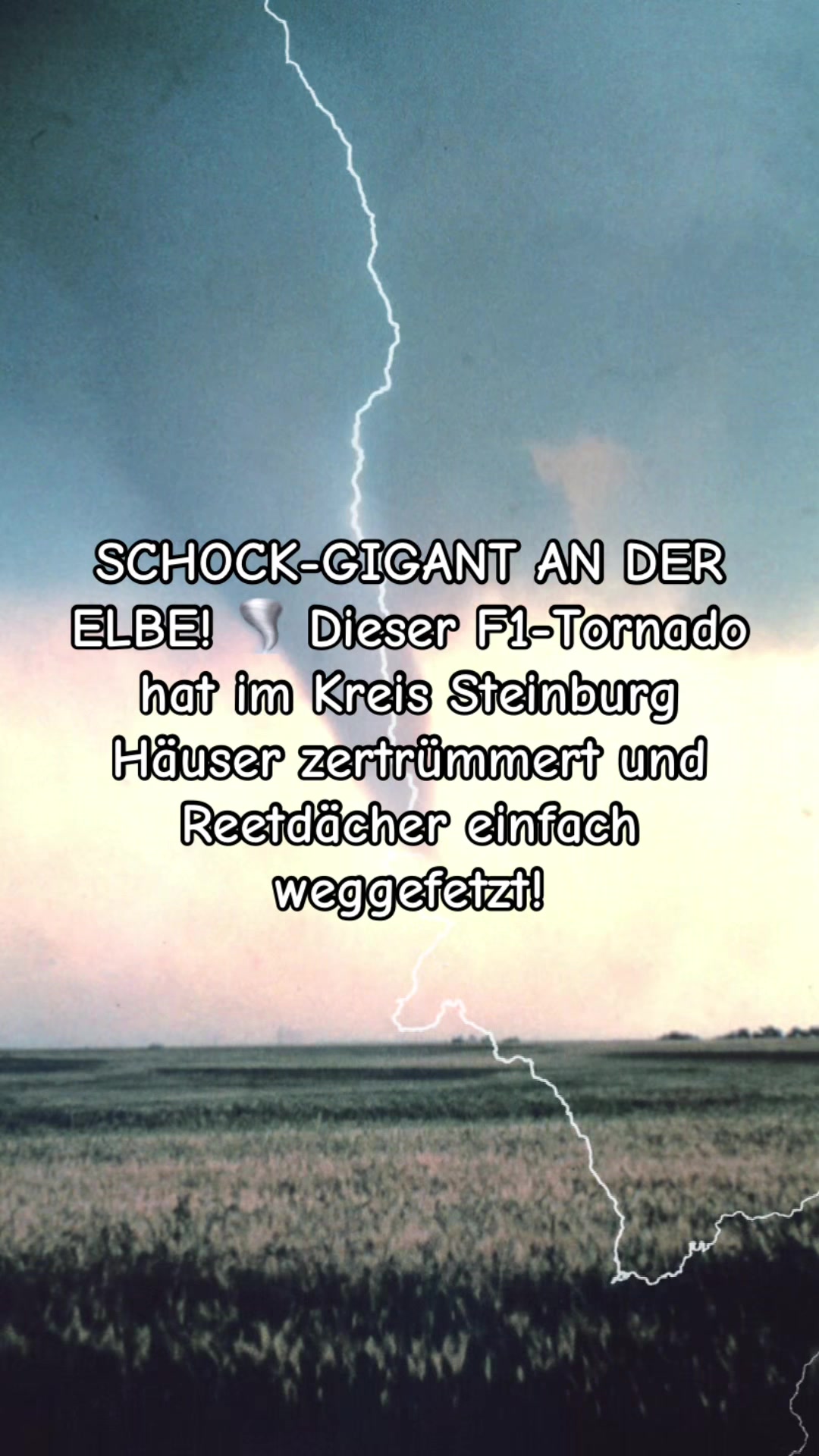 @Schleswig-Holstein pur
