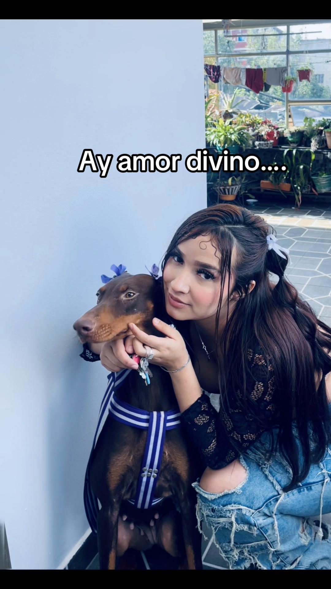 @Daniela Rico 🤪