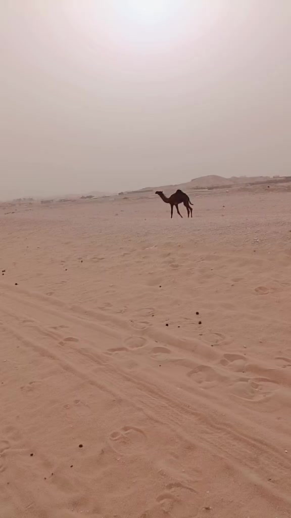 @غلام اكبر