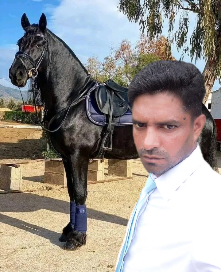@Mubasher Hussain