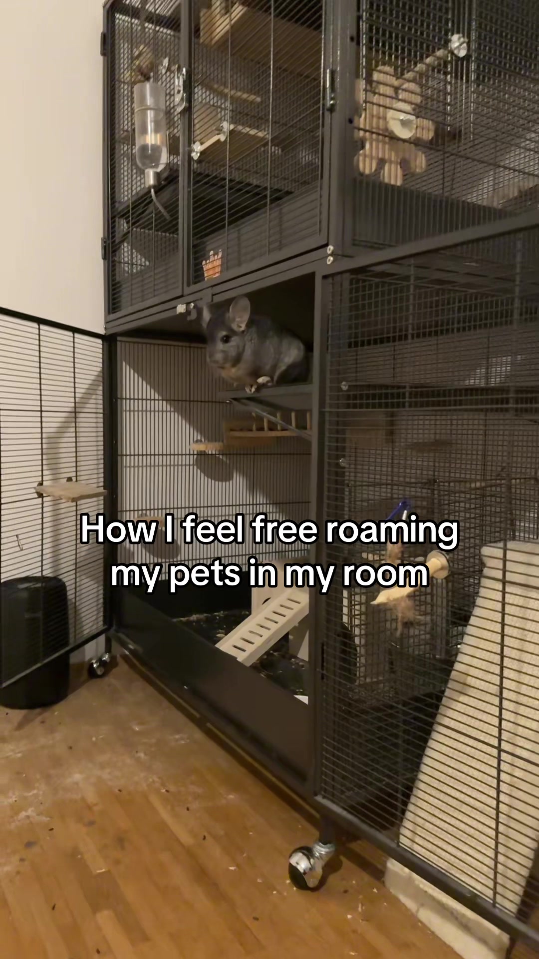 @BANDIT & STRIPE