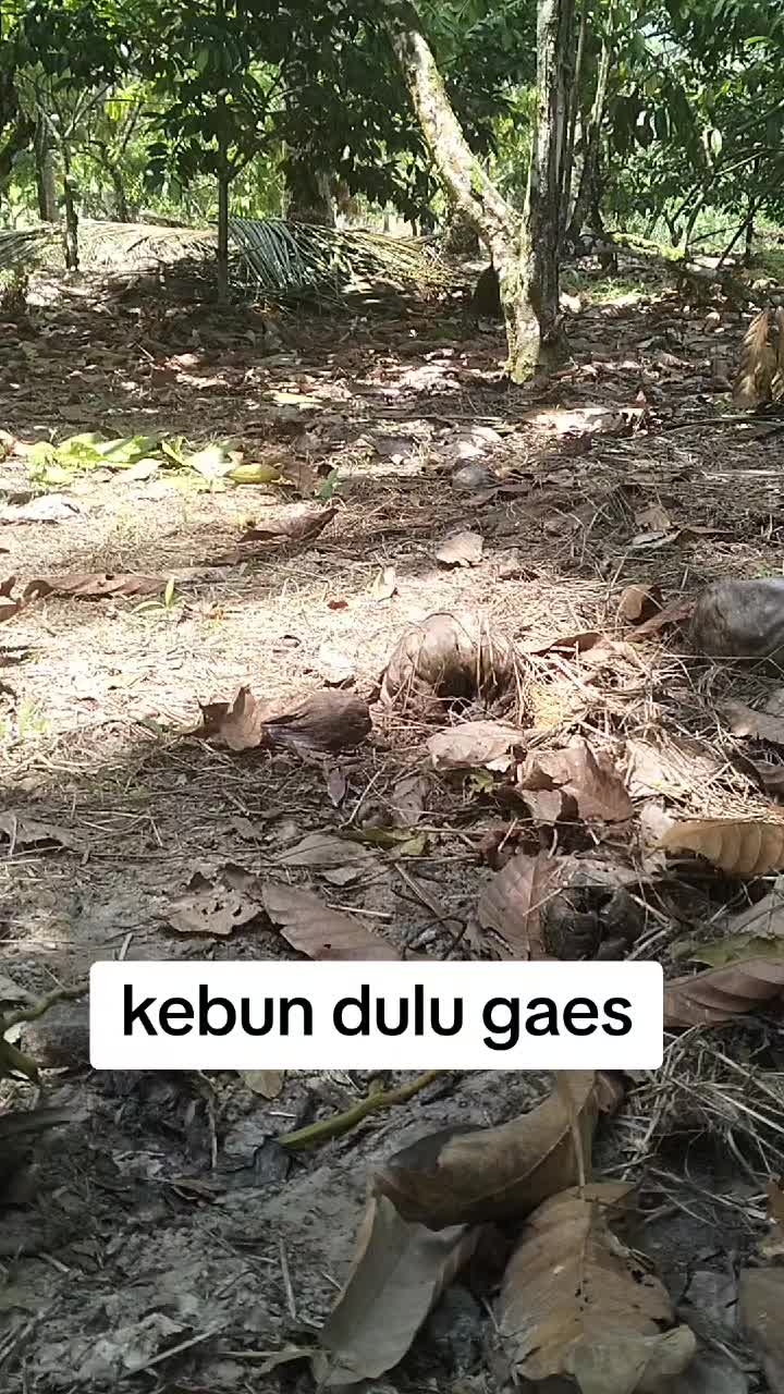 @Ni wayan Budiani