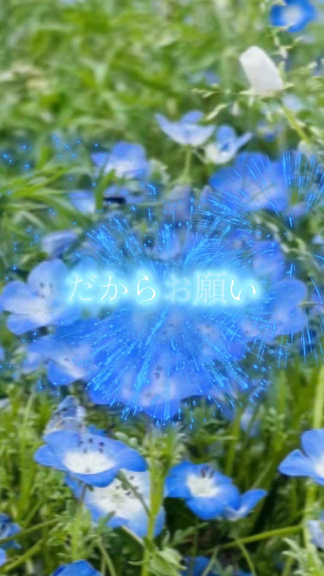 @トッポの下僕おしゃち 💲 👉🏿🧸👈🏿