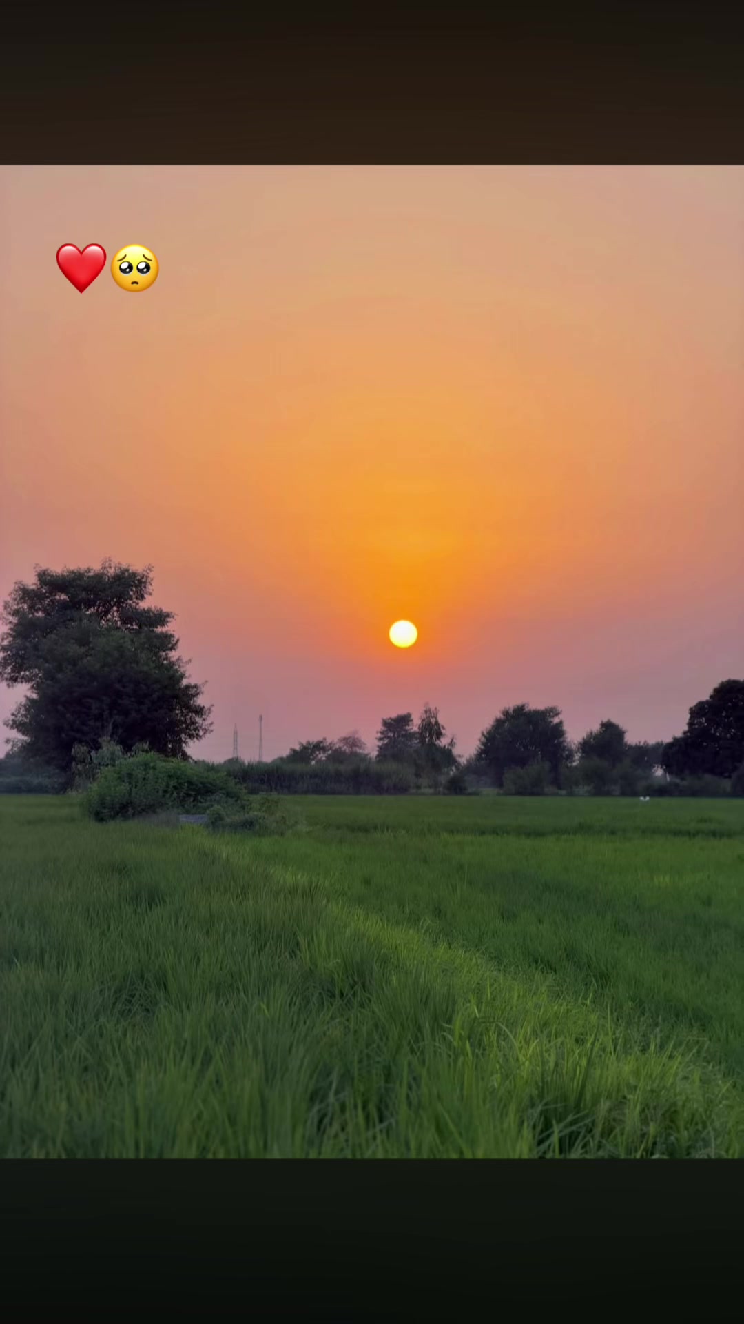 @Salman Ranjha