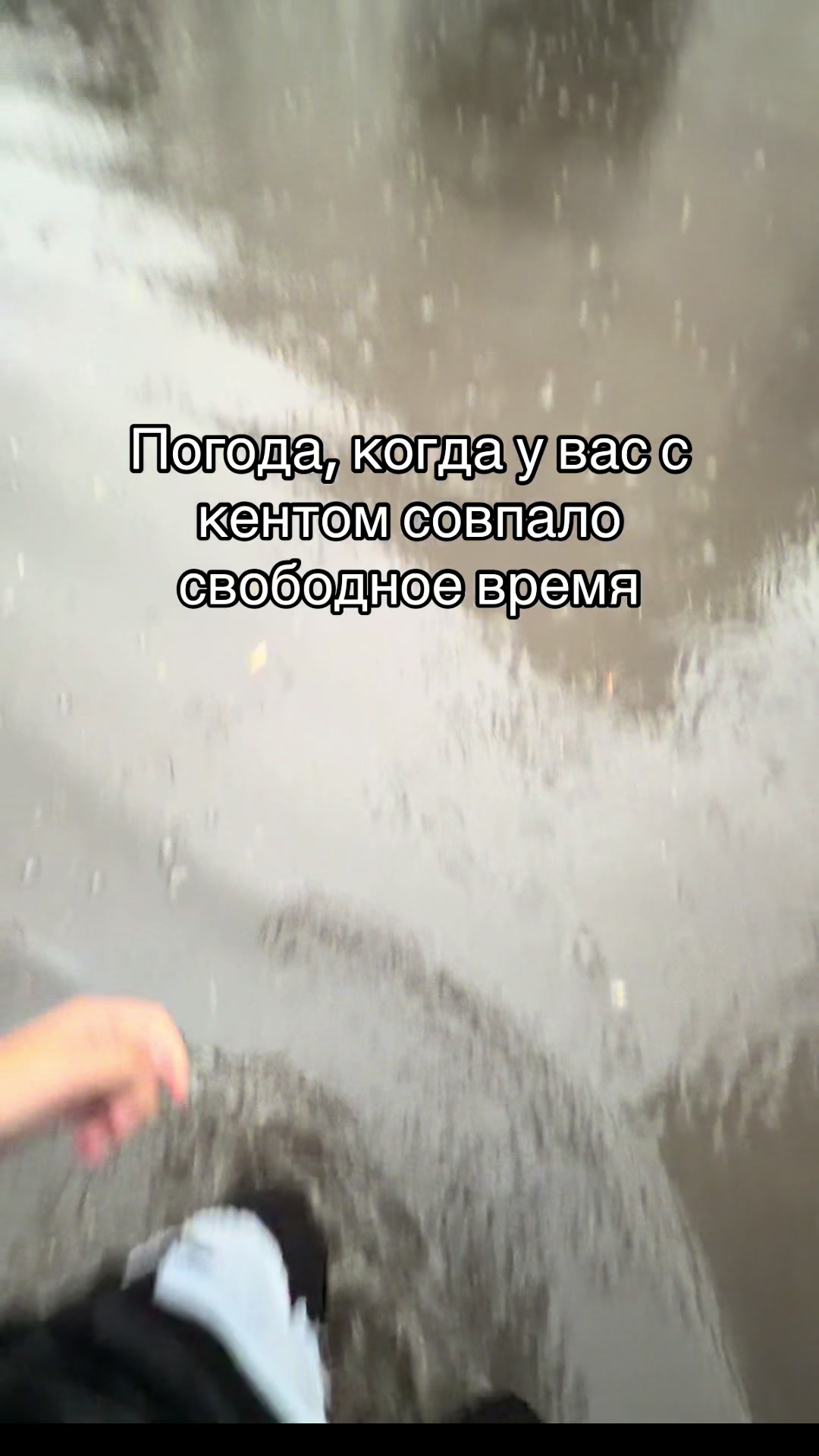 @семиклассник