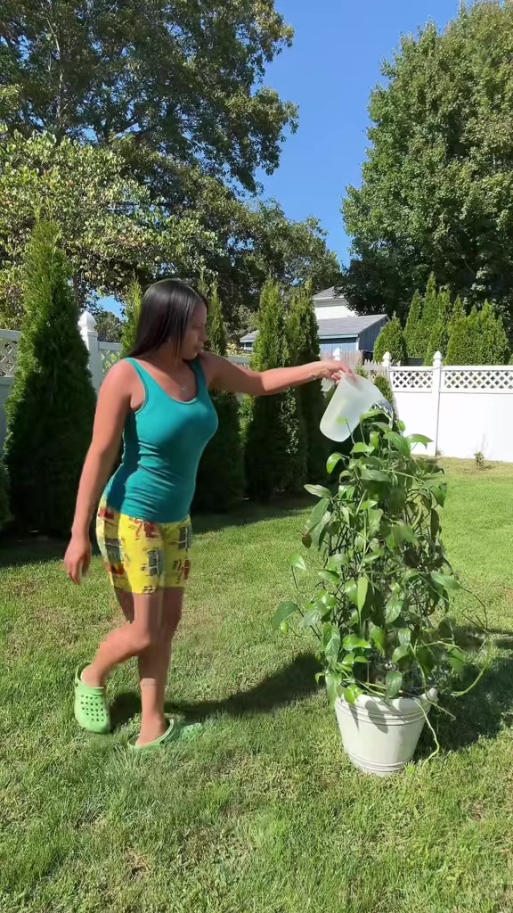 @Laotravida