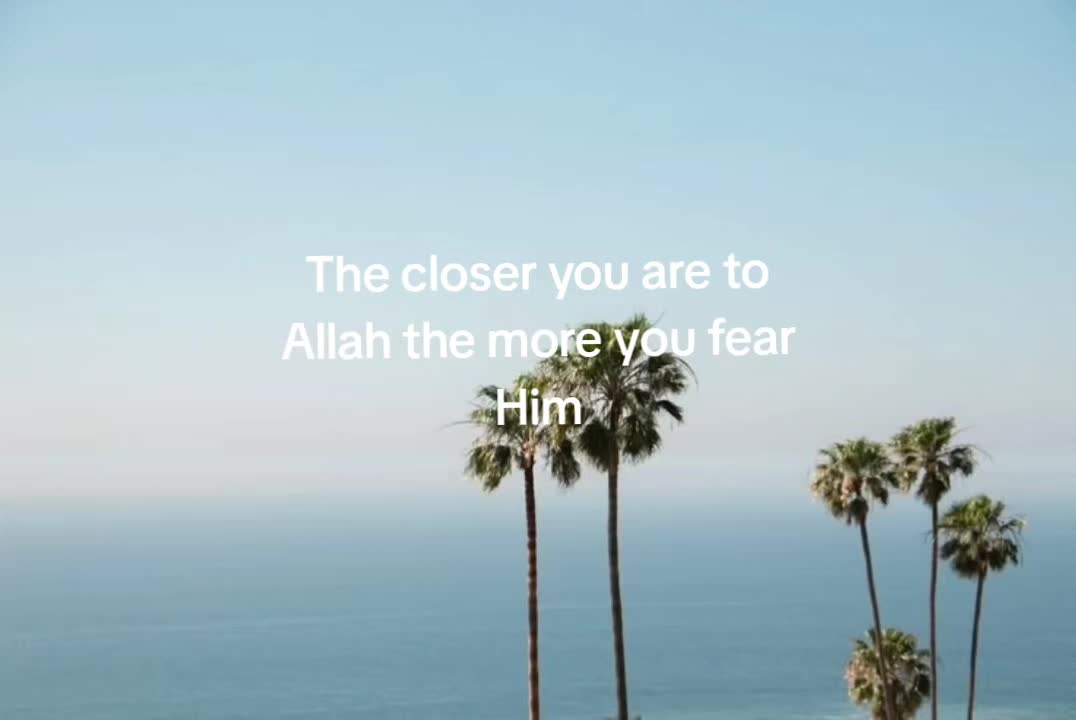 @معنى الحياة