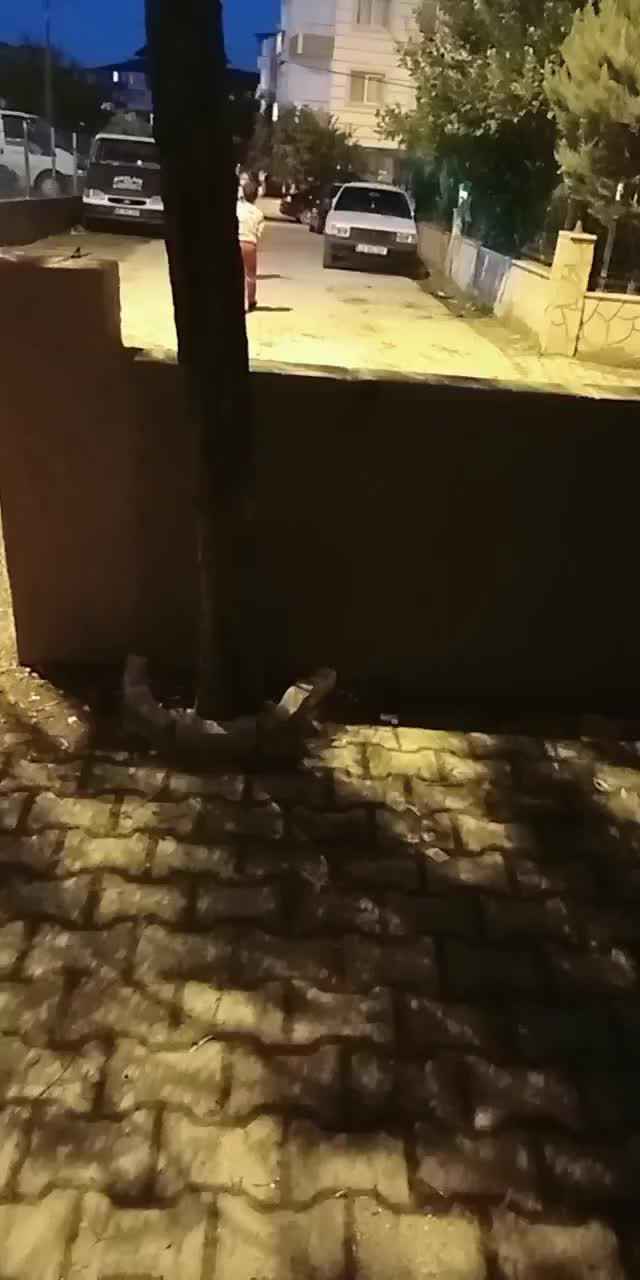 @gülüşü güzel Antakyalı çiğdem