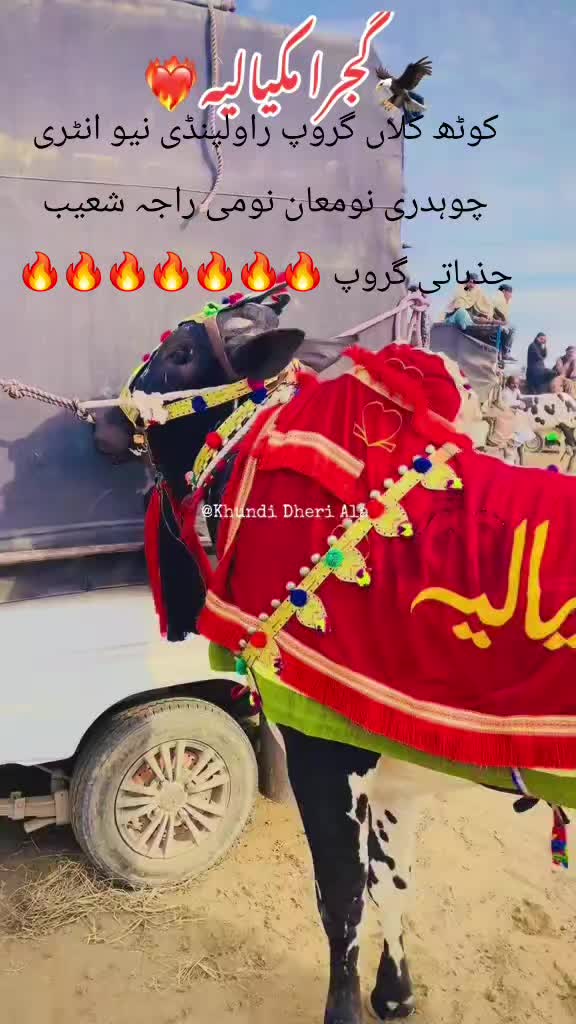@چوہدری شکیل