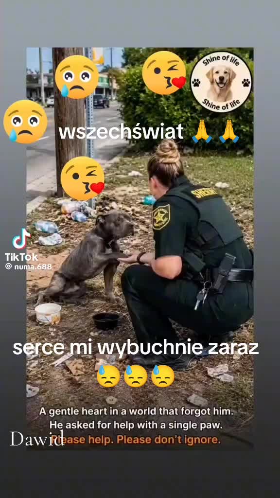 @Dawid Dabrowski