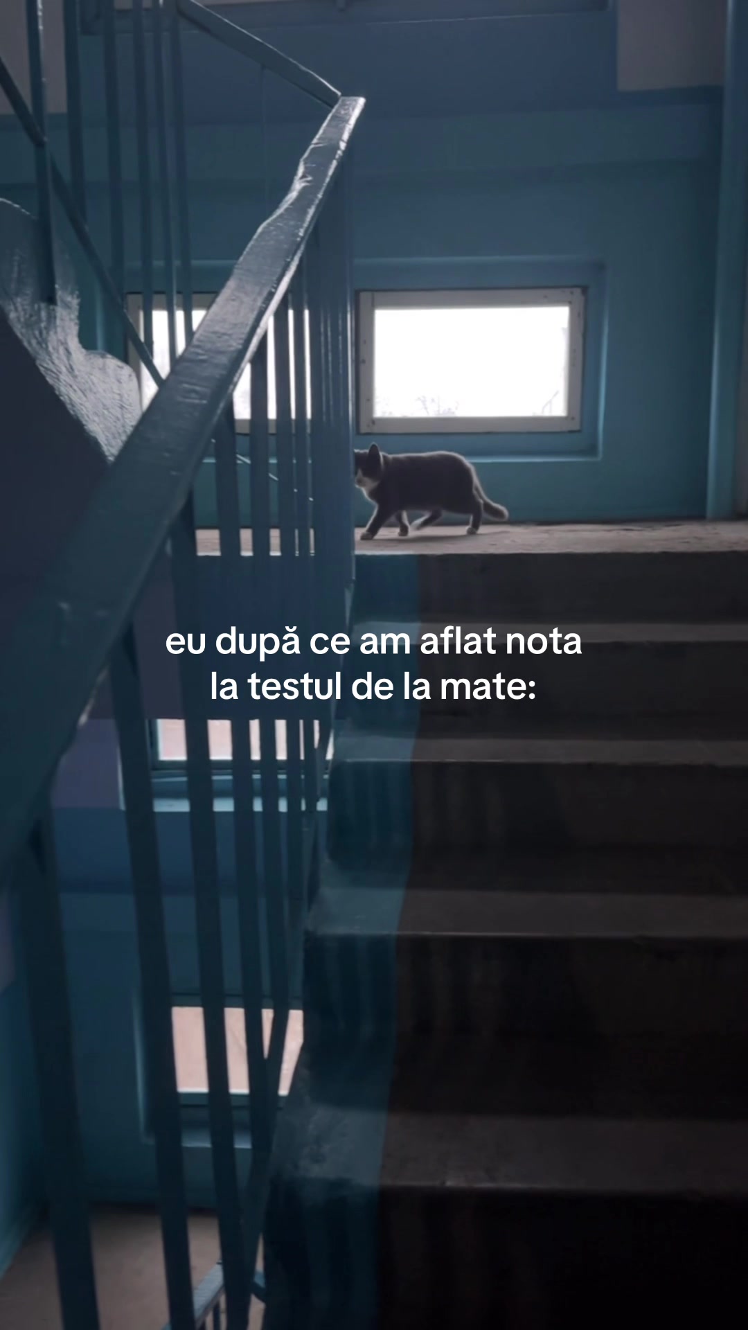 @nicusyz