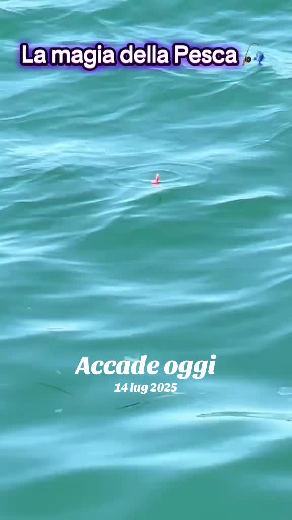 @GianlucaAmoruso
