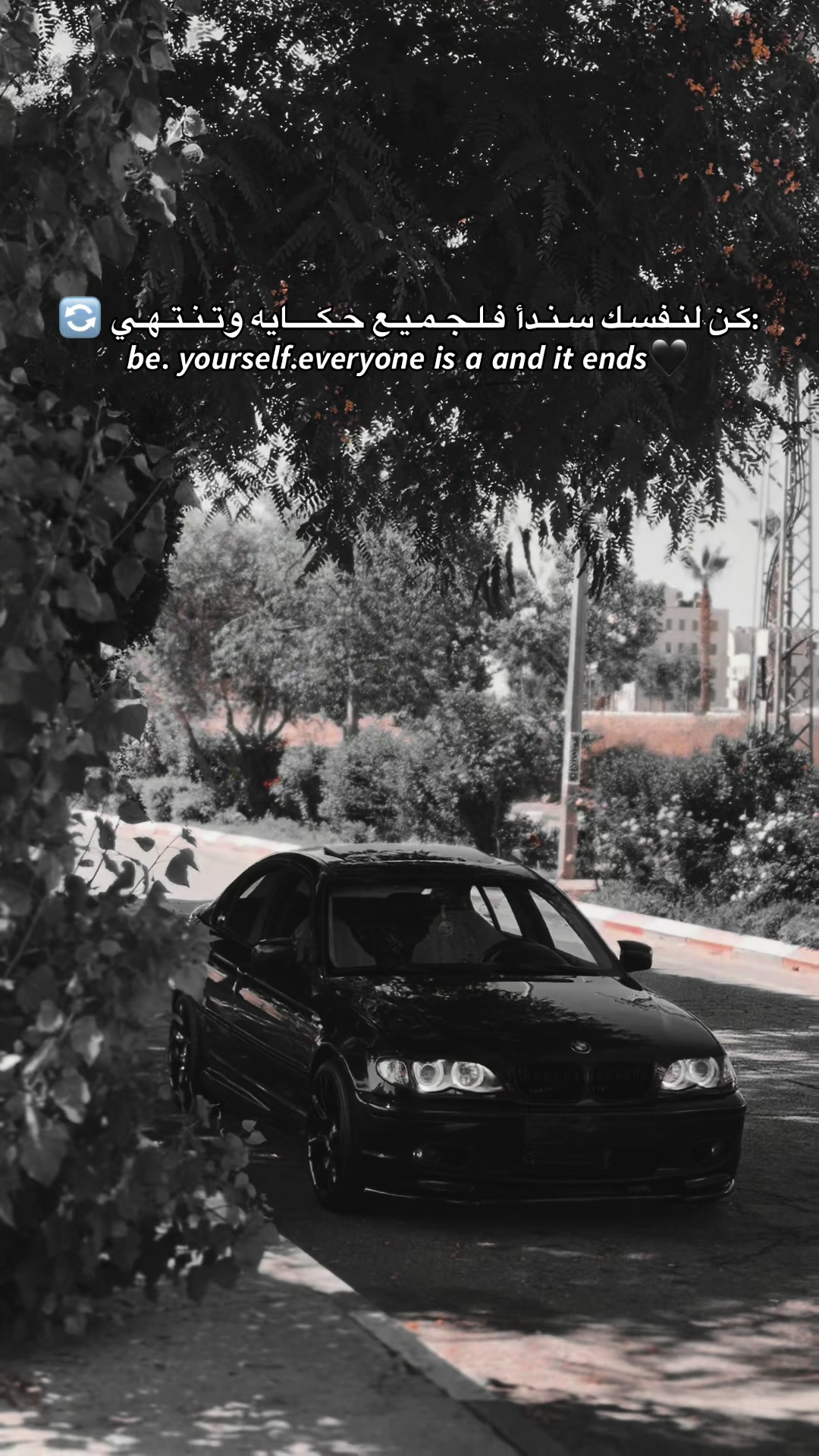 @_3li_mujahed_