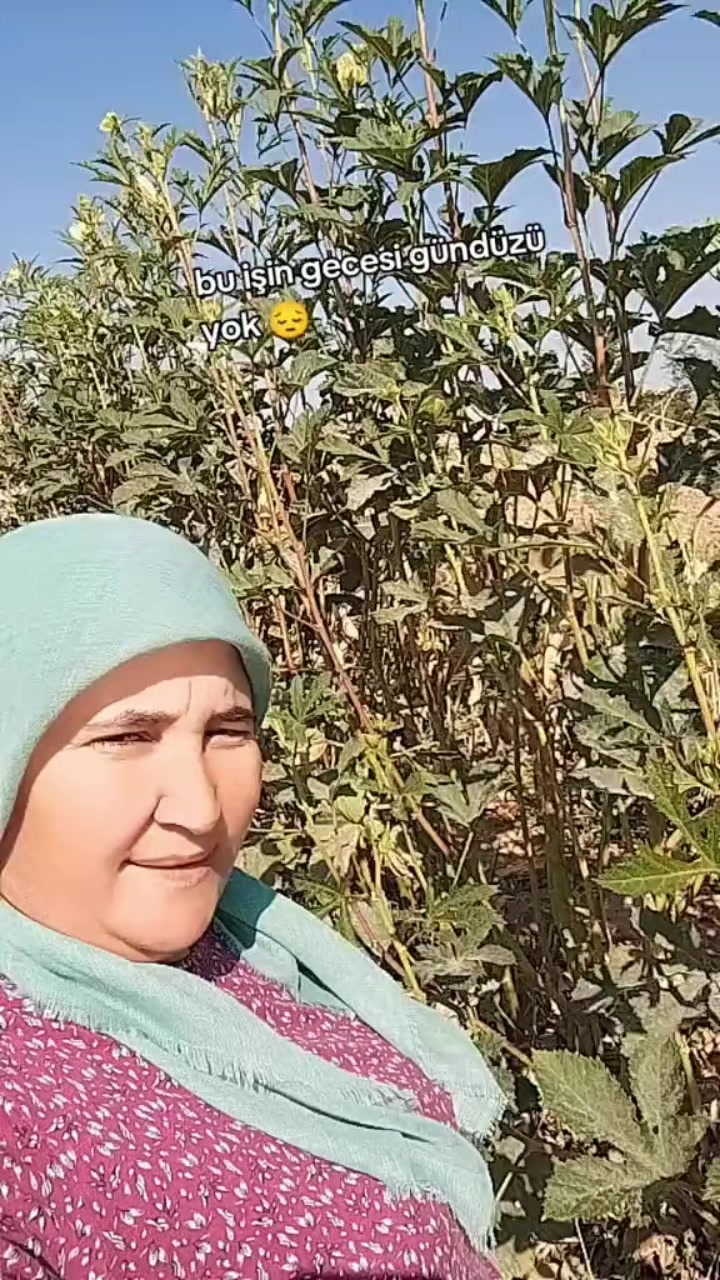 @🐏Y&Ouml;R&Uuml;K KIZI 🐏33.70