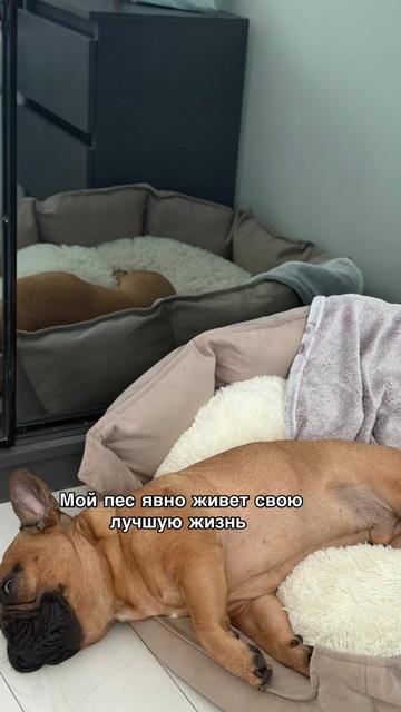 @volkovaaa02