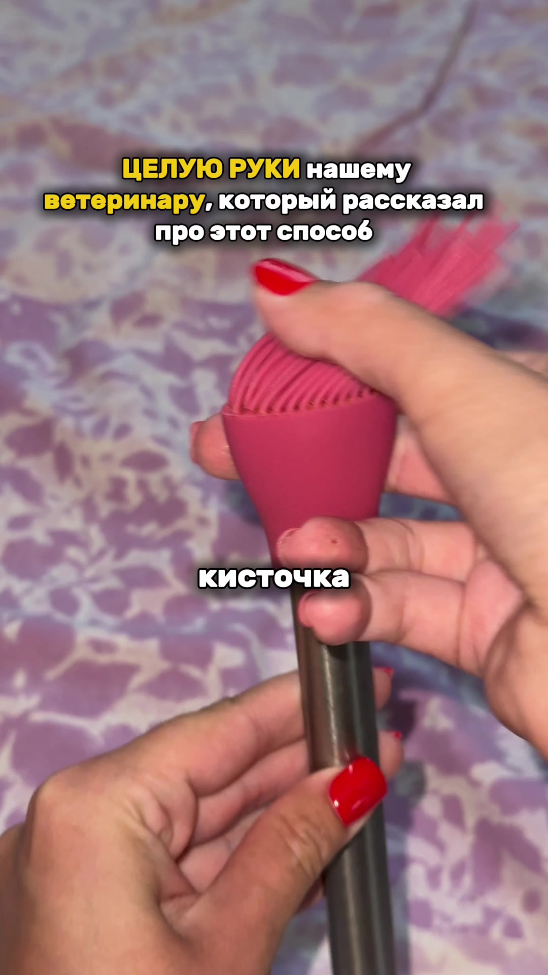 @daria_mikki