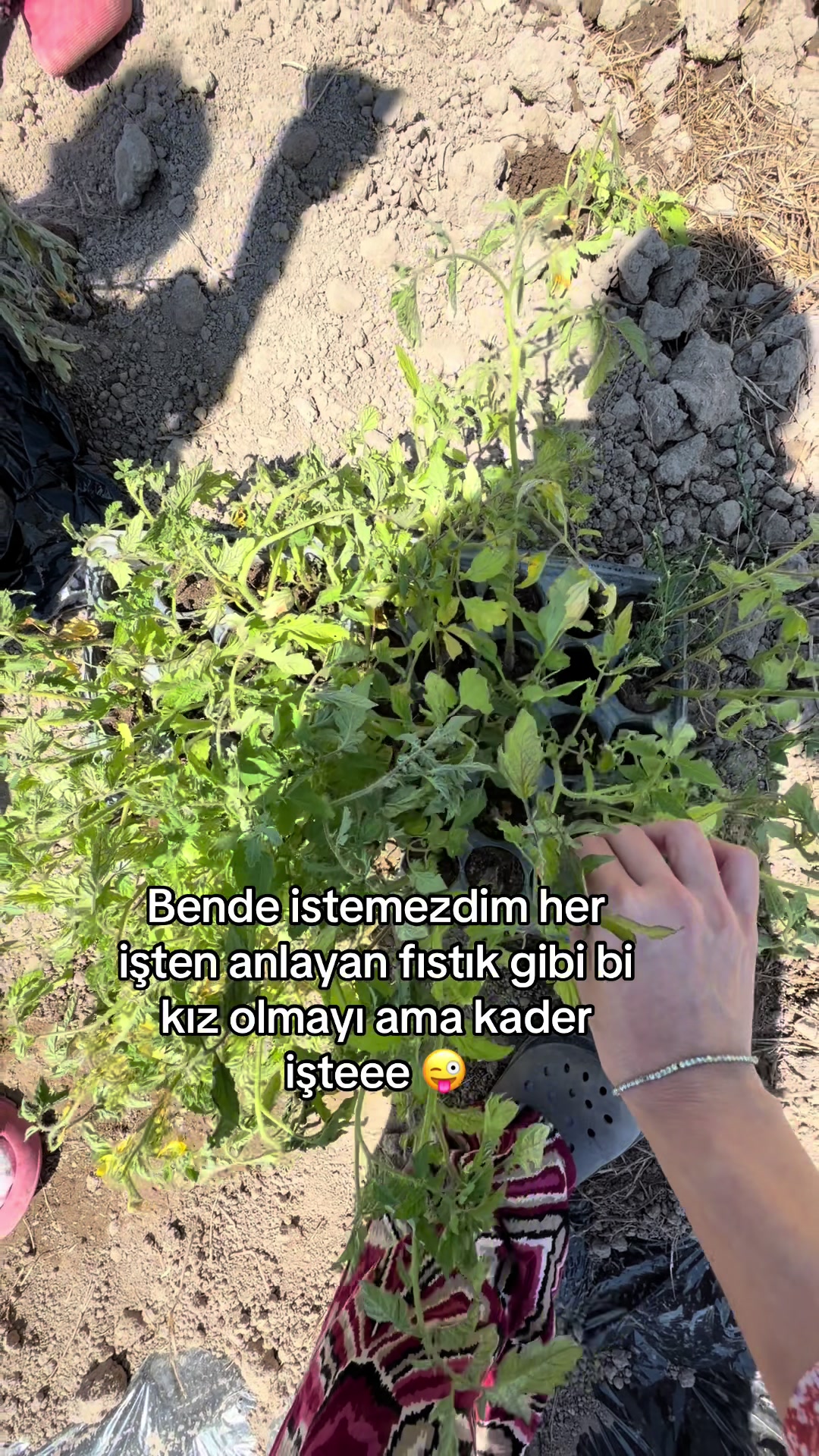 @Ayşegül Sarı🦅
