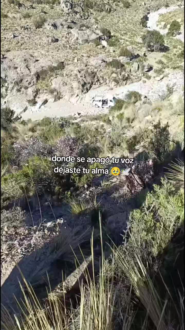 @CATITA🐦🔥🐦🔥❤️🔥