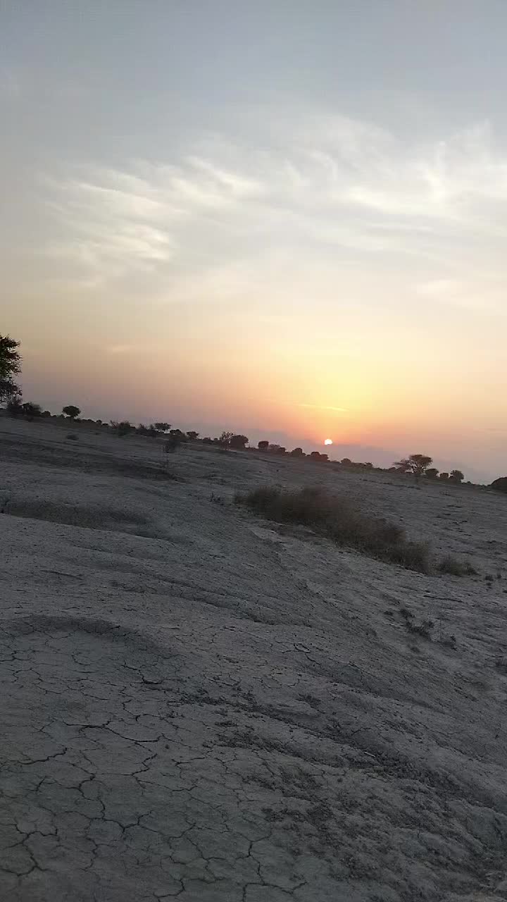@qaum26