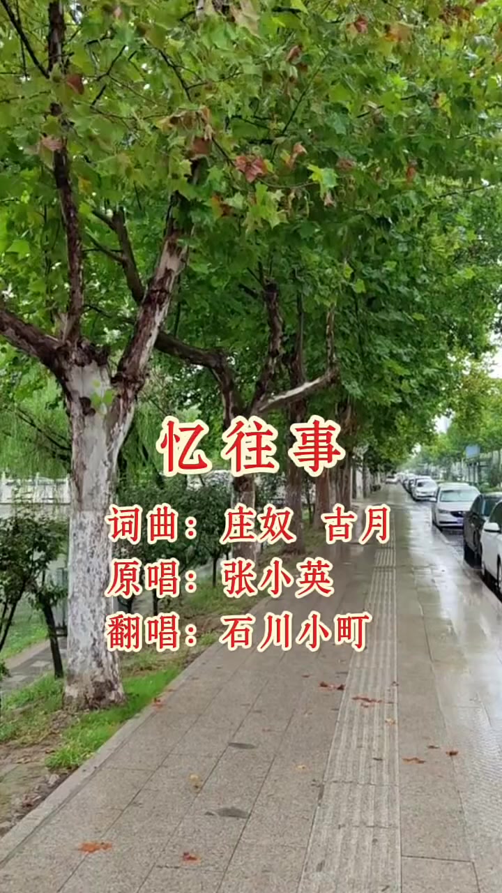 @美丽的世界