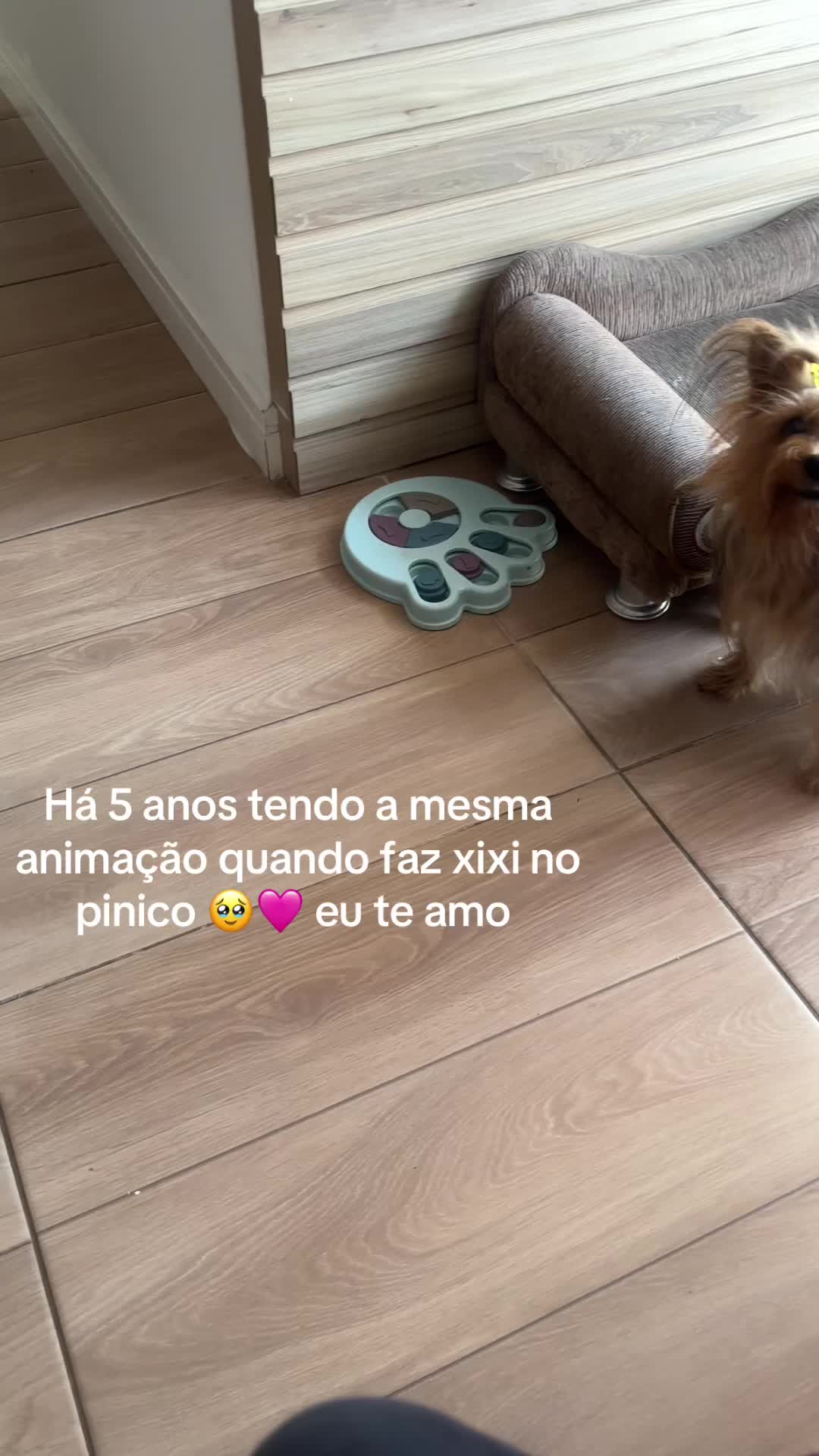 @Milena Abra