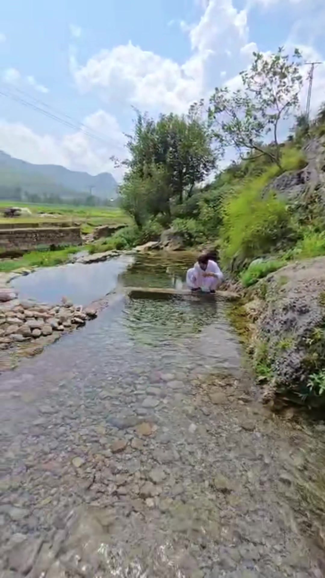 @Wajid Shah Afridi