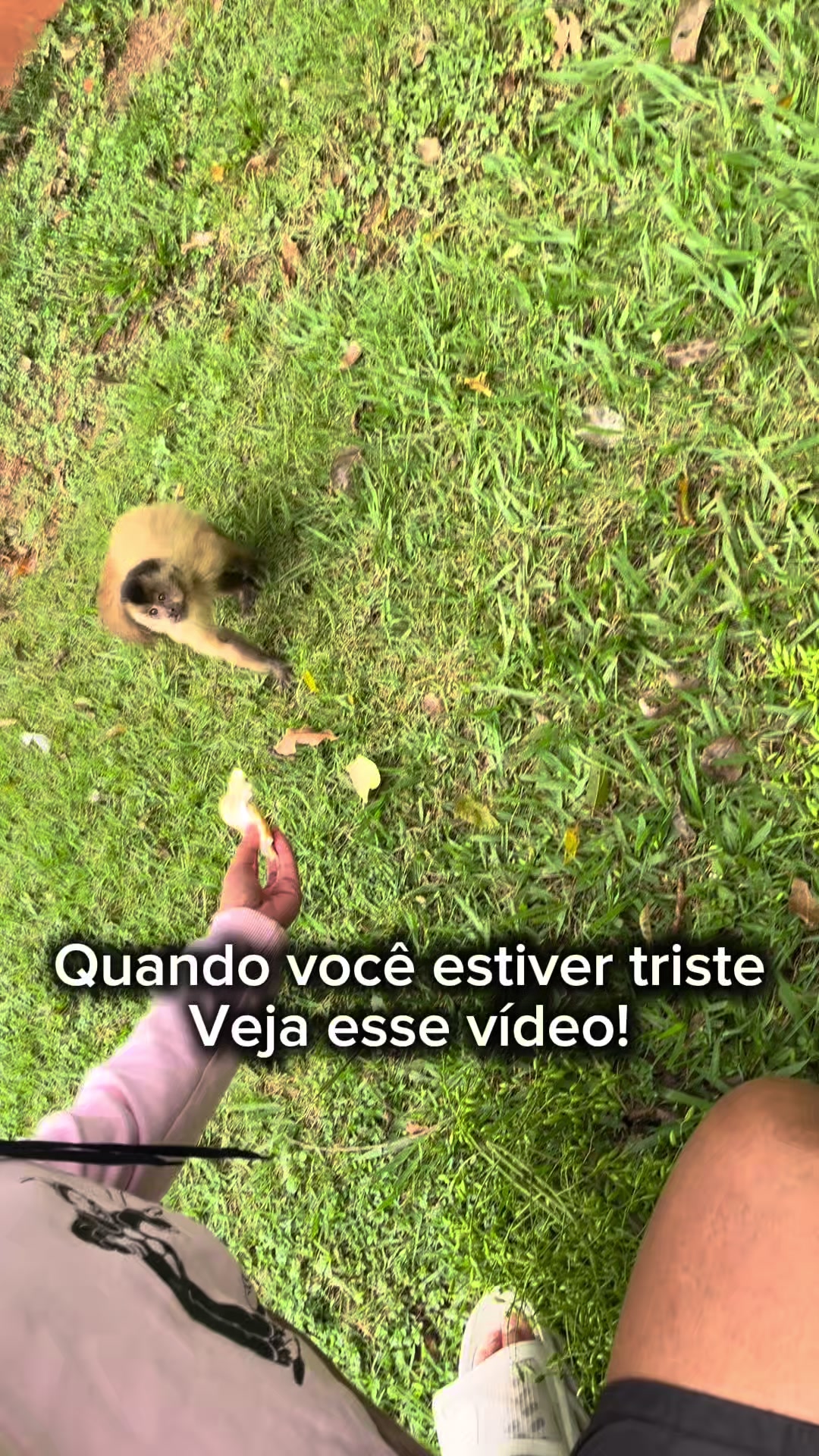 @Drake.oficial_
