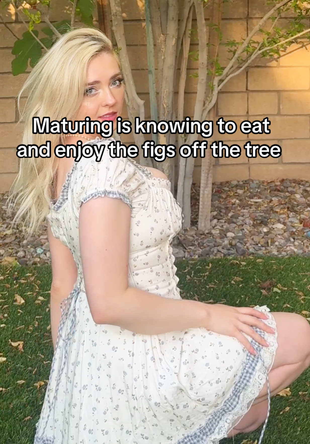 @saharareed