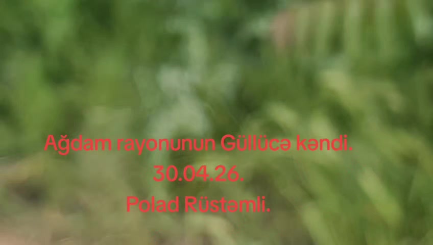 @Ağdamlı970