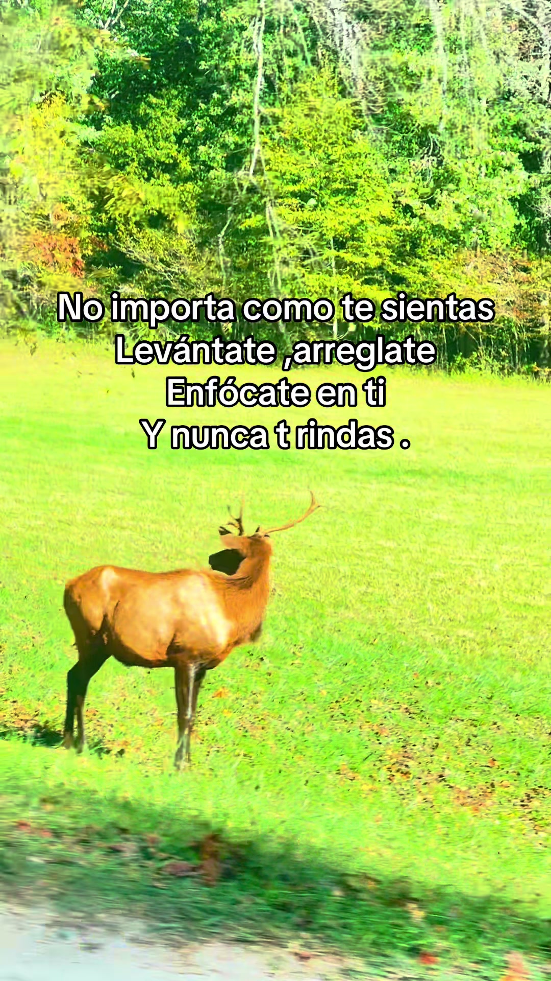 @Karen Hernández