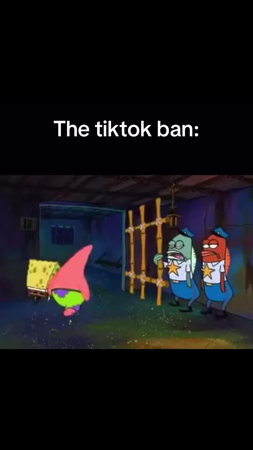 @˃̣̣̣̣̣̣︿˂̣̣̣̣̣̣