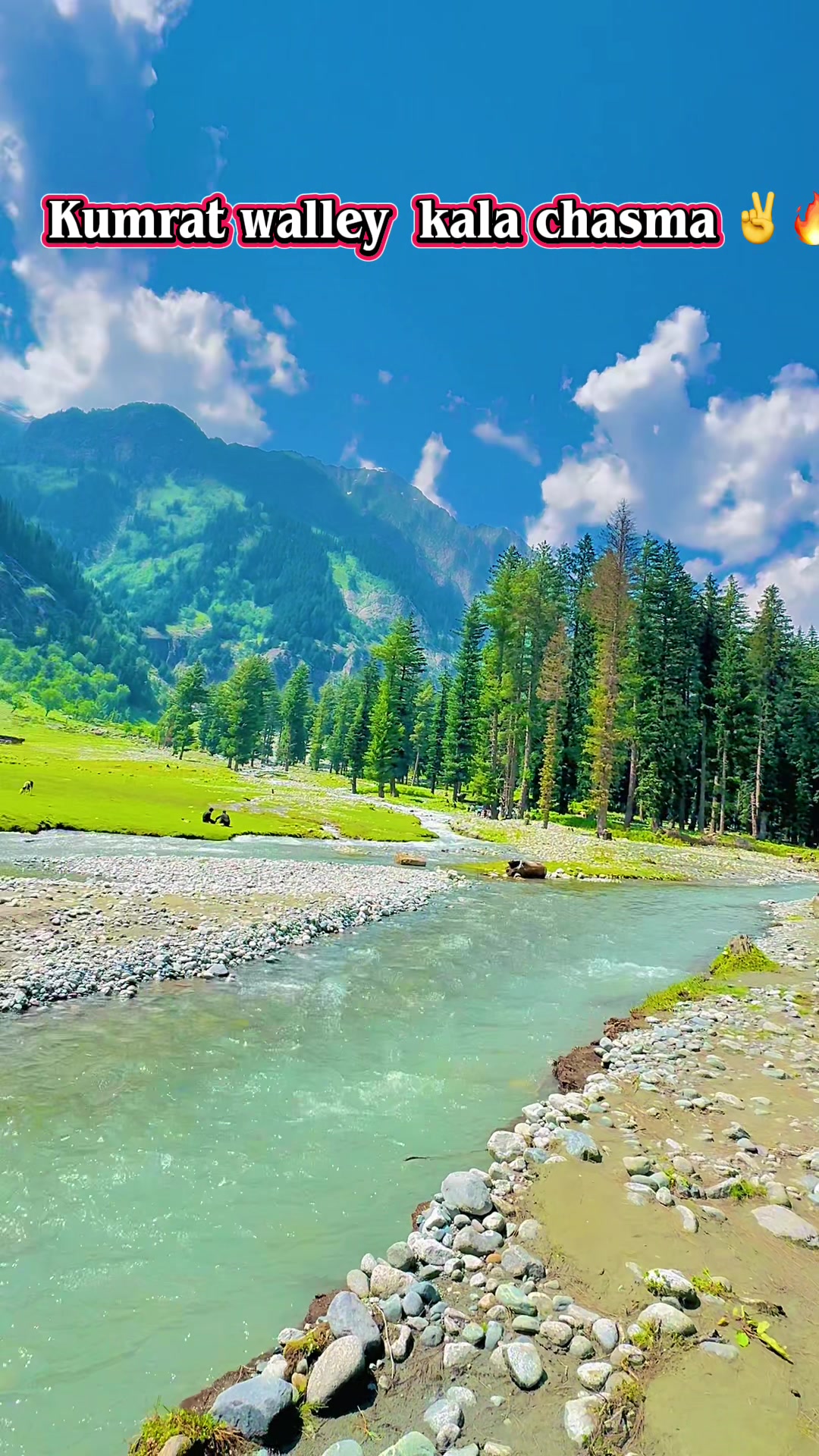 @Gullnawaz afridi