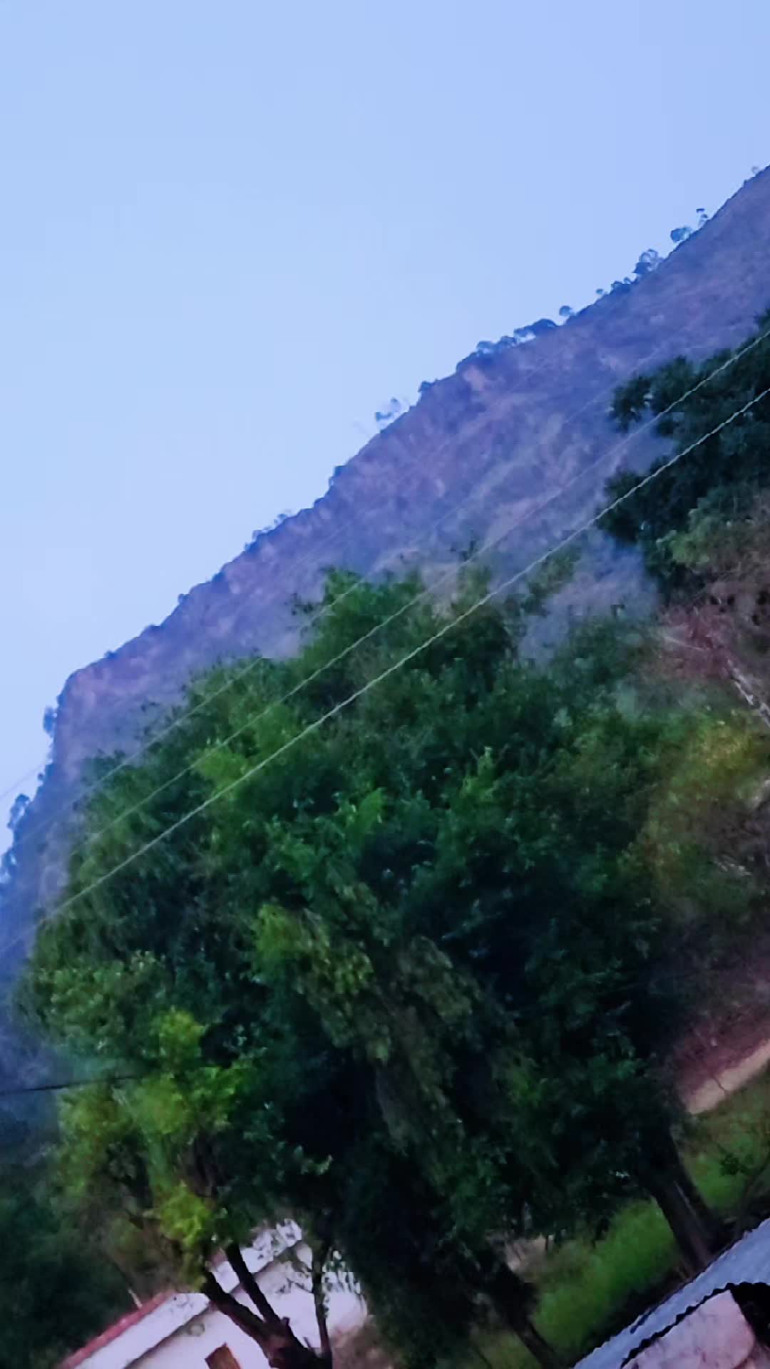 @Jaleel Raja358