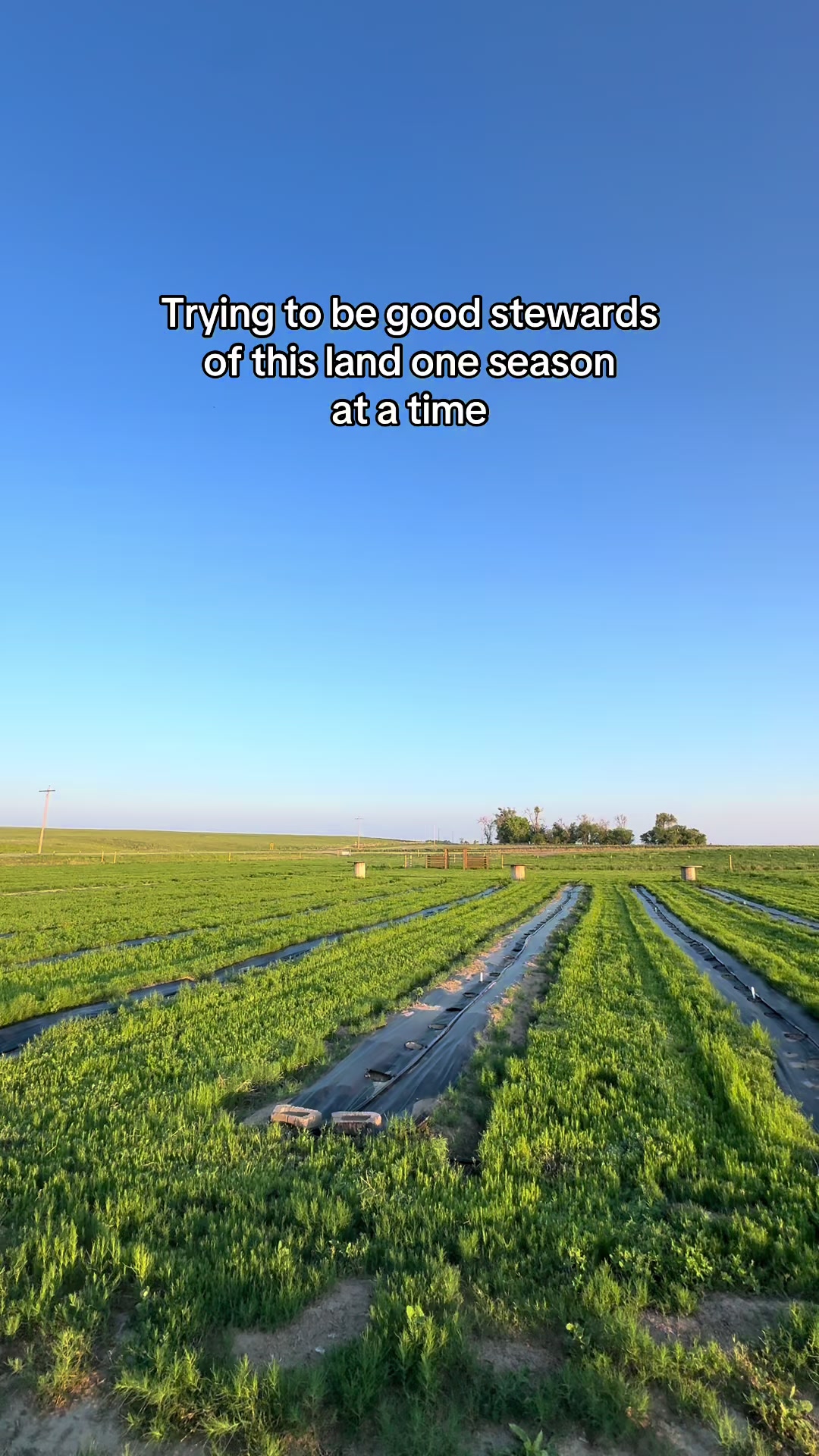 @Sandy Acres Farm