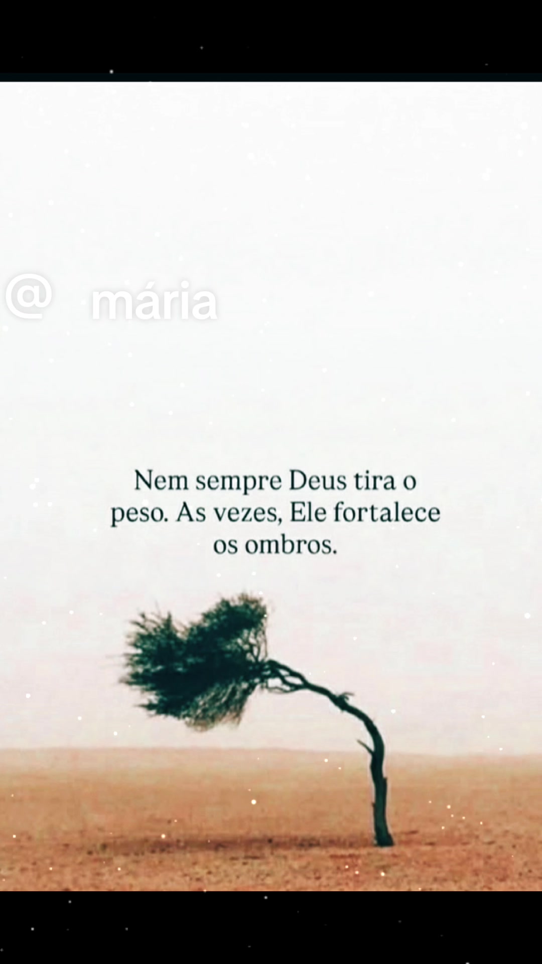 @Maria Lourdes