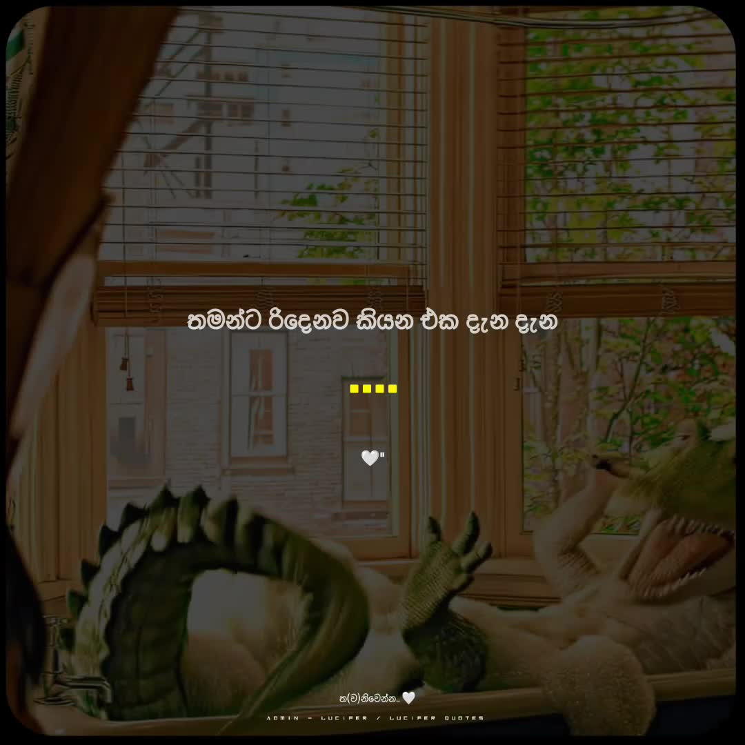 @𝐋𝐔 ︰𝐂𝐈 🤍