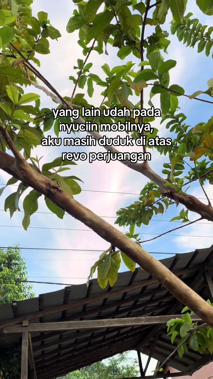 @manusiamanis