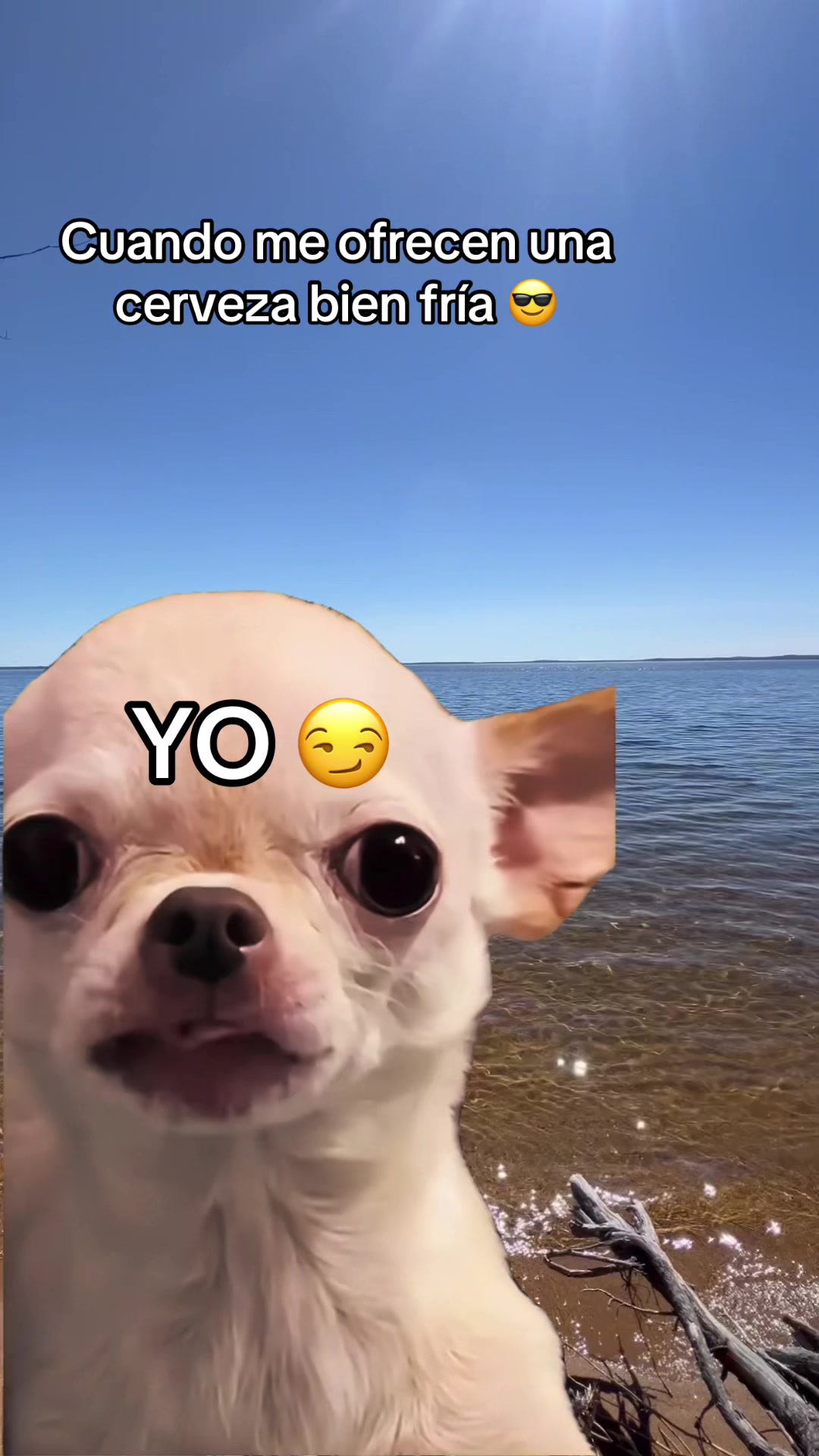 @botcito103