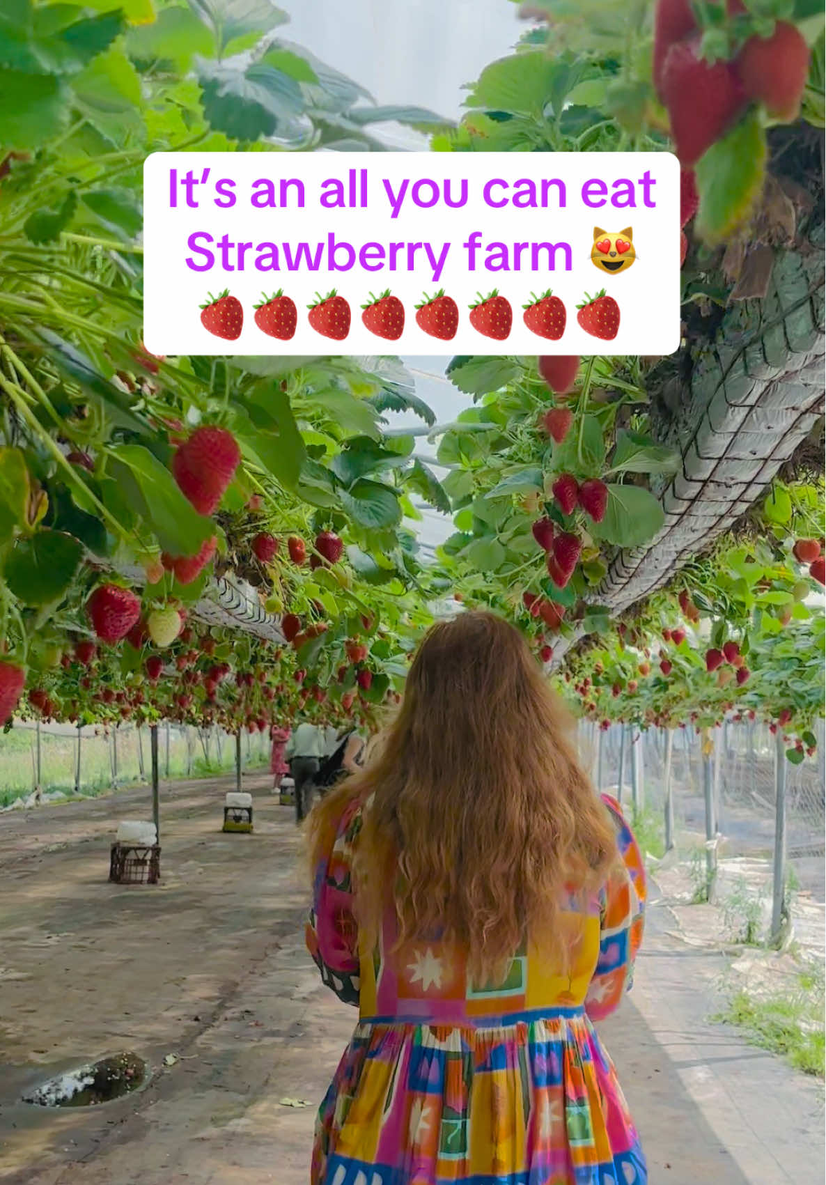 @AussieNoy