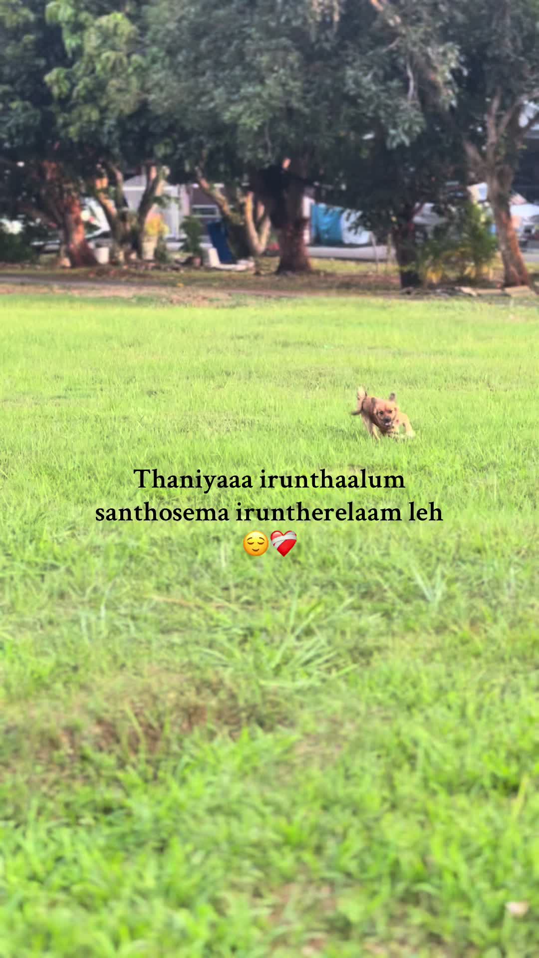 @๐ข๐ช๐ท๐ฝ๐ฒ๐ท๐ชโก๏ธ