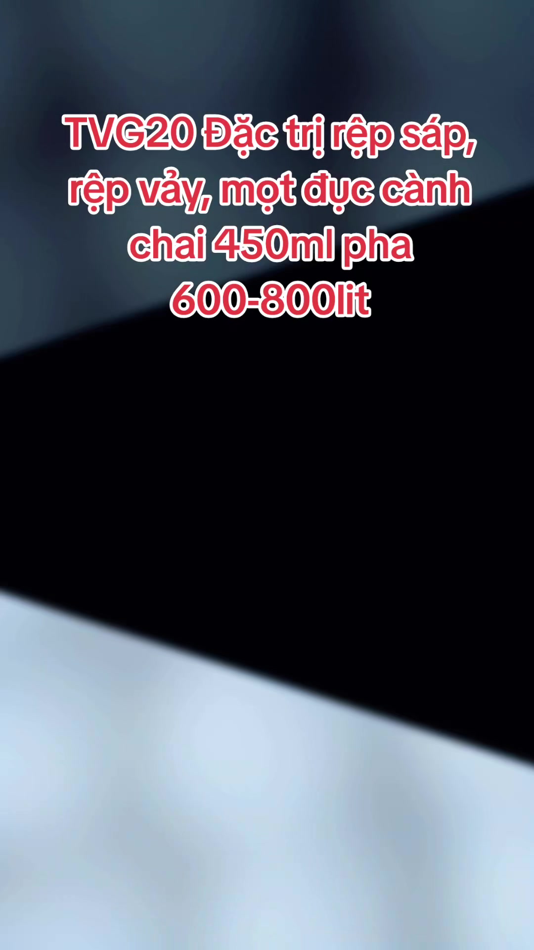 @VTNN Minh Tuấn