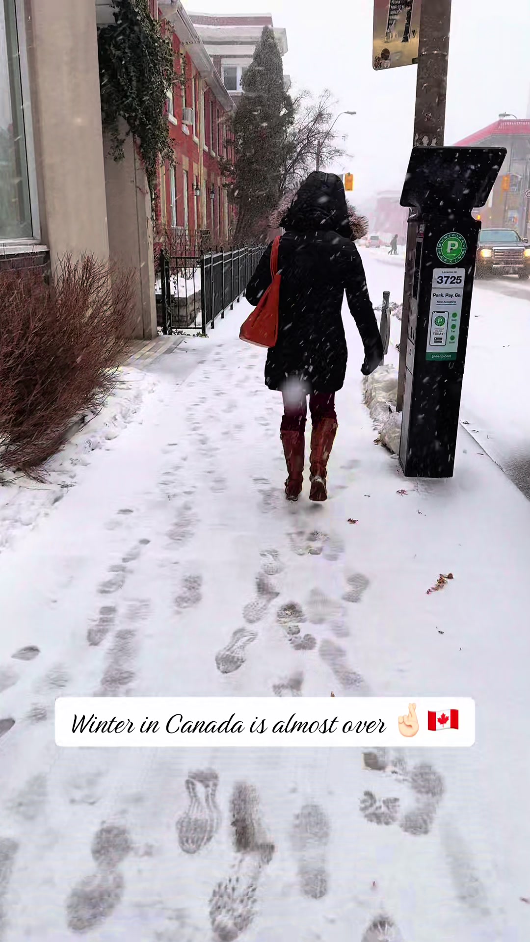 @Toronto Vibe🇨🇦