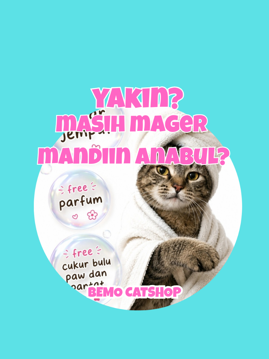 @Bemo Catshop