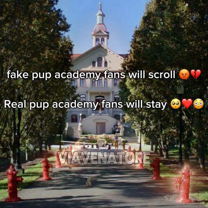 @mᥲrshᥲᥣᥣ ⋆ [kingsleys ⌗1 fan]