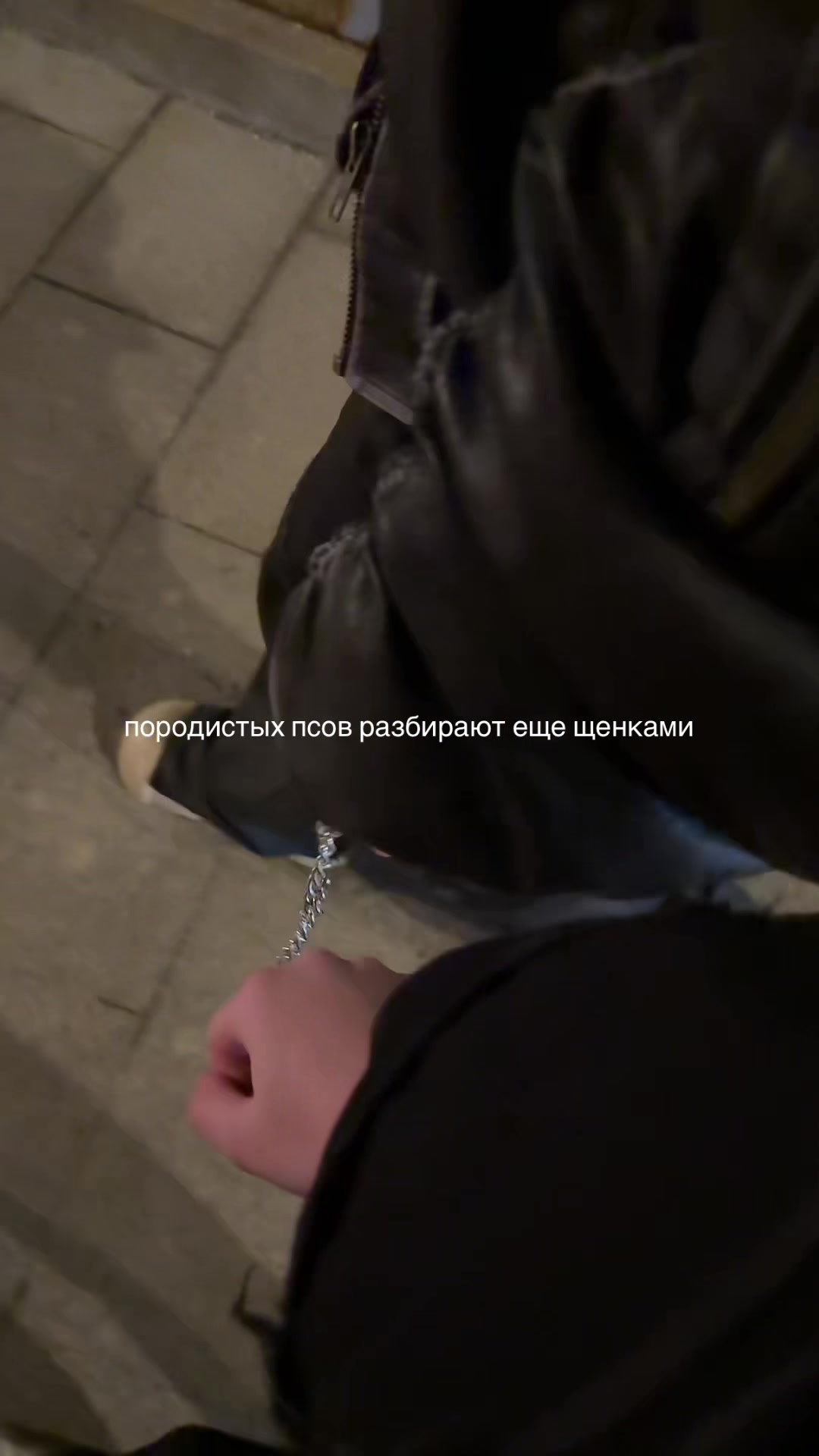 @swrgoq