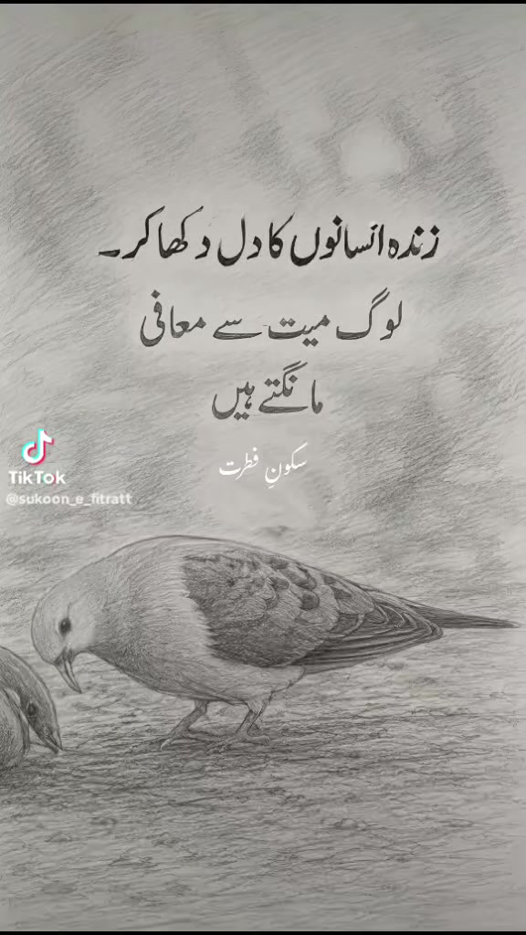 @🌹🐦🩵RAHEEL🌹MUGHAL🌹