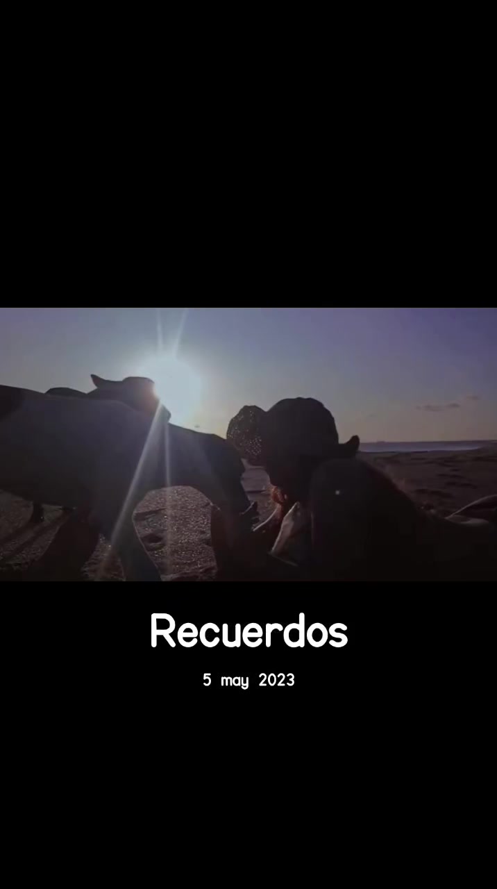 @Luz Andrade ✨