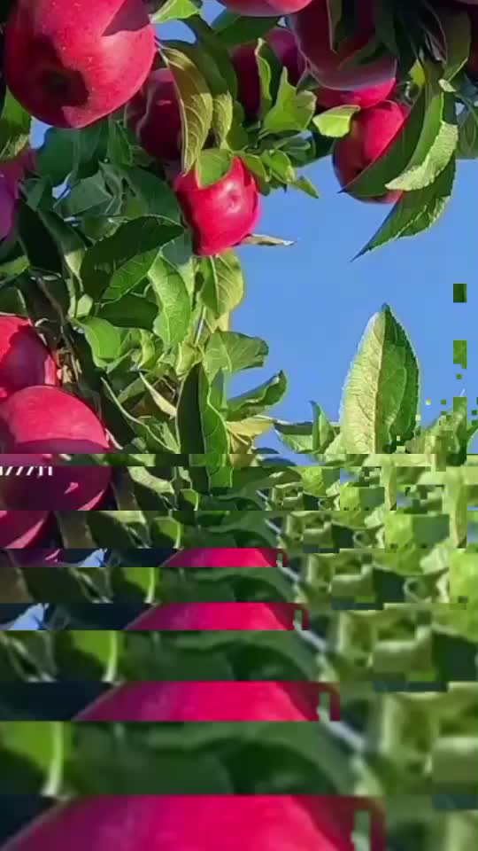 @Sara Masih❤️😇❤️